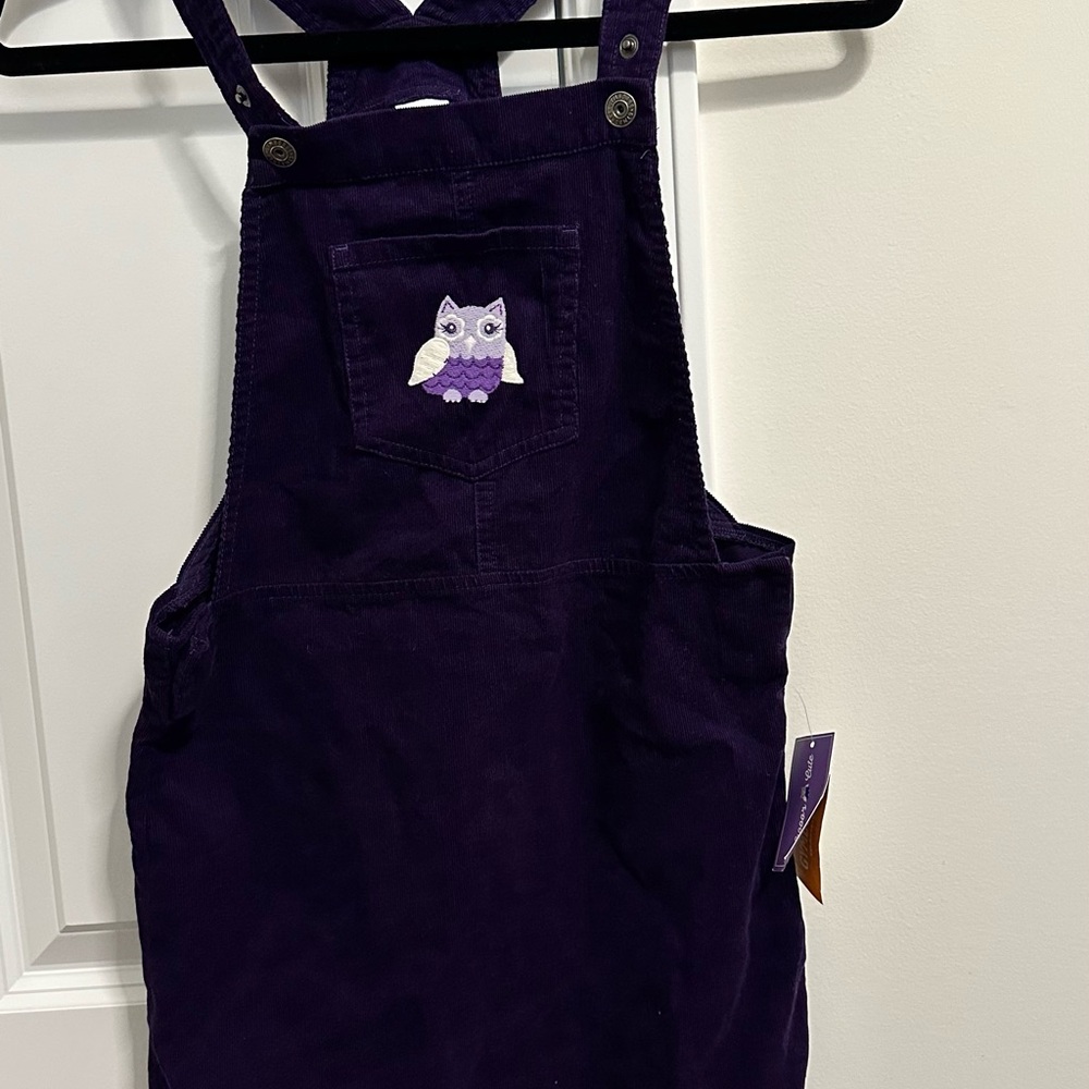 Gymboree Purple Corduroy Dress with Owl Patch